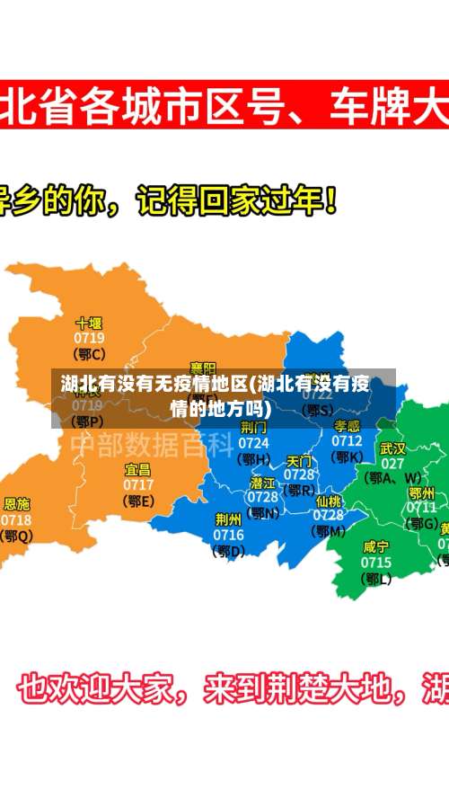 湖北有没有无疫情地区(湖北有没有疫情的地方吗)-第1张图片
